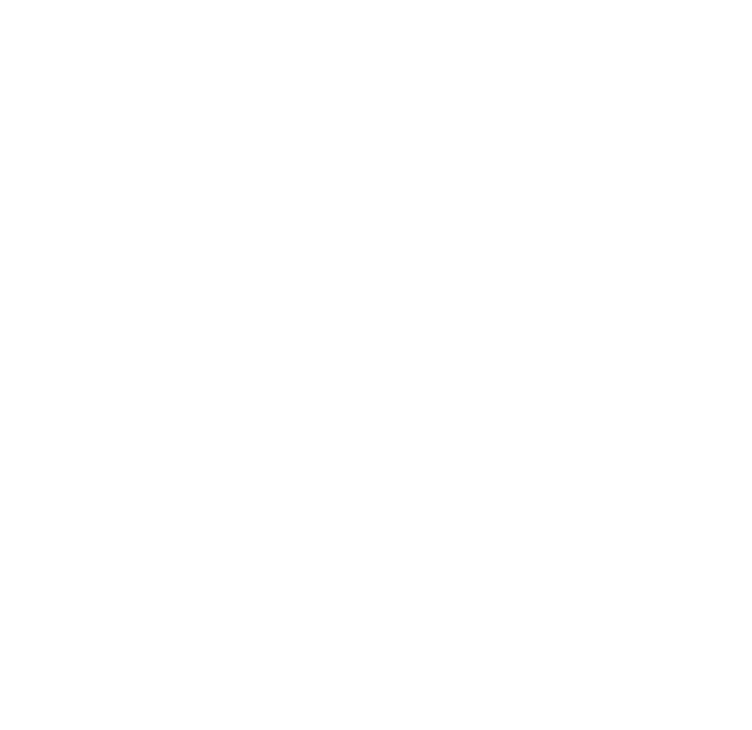 MERCURIUS CURIO SHOP