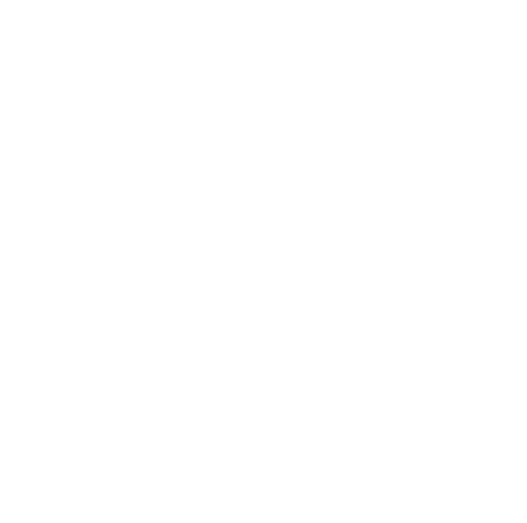 TWIN FLOWER STUDIOS